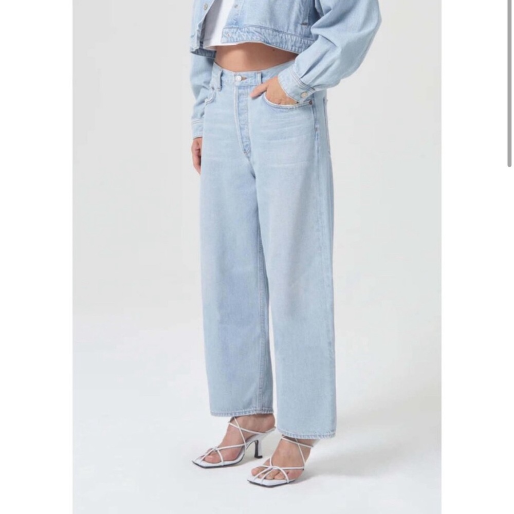 Agolde Low Slung Baggy Jeans in Shake